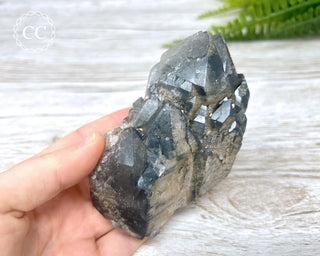 Black Lodolite Quartz #3