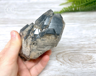 Black Lodolite Quartz #3