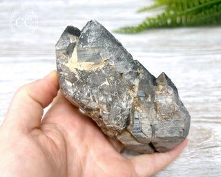 Black Lodolite Quartz #3