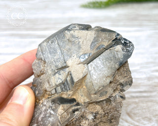 Black Lodolite Quartz #3