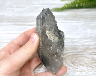 Black Lodolite Quartz #1