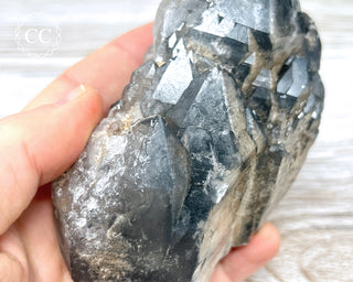 Black Lodolite Quartz #3