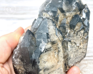 Black Lodolite Quartz #3