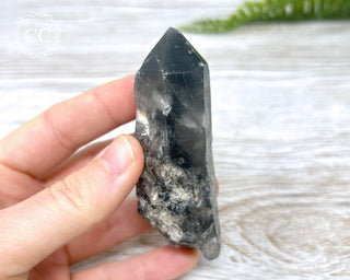 Black Lodolite Quartz #4