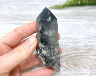 Black Lodolite Quartz #4