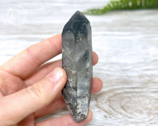 Black Lodolite Quartz #4