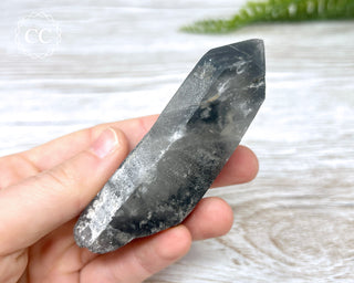 Black Lodolite Quartz #4