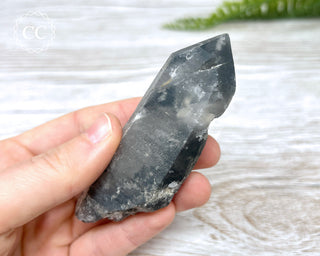 Black Lodolite Quartz #4