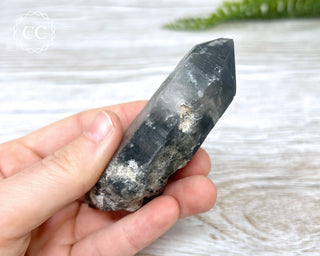 Black Lodolite Quartz #4