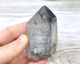 Black Lodolite Quartz #5