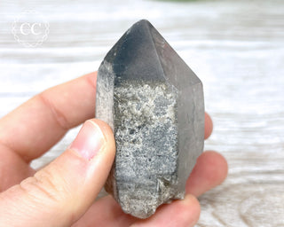 Black Lodolite Quartz #5