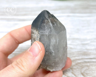 Black Lodolite Quartz #5