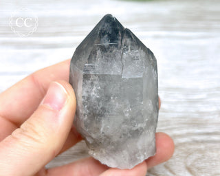 Black Lodolite Quartz #5