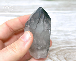 Black Lodolite Quartz #5