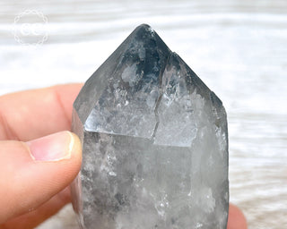 Black Lodolite Quartz #5