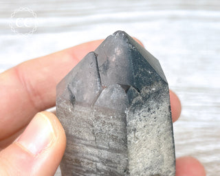 Black Lodolite Quartz #5