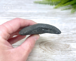 Black Megalodon Tooth #6