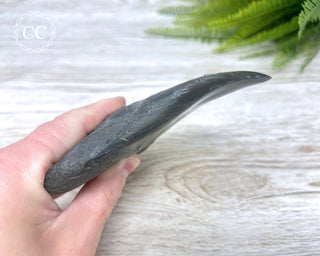 Black Megalodon Tooth #5
