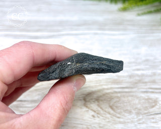 Black Megalodon Tooth #7