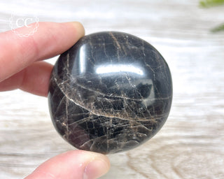 Black Moonstone Chunky Palm Stone #3