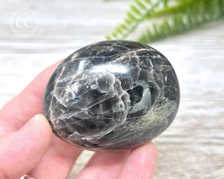 Black Moonstone Chunky Palm Stone #4