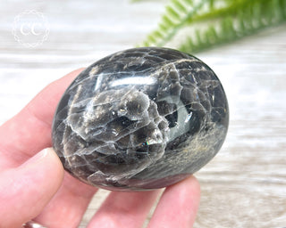 Black Moonstone Chunky Palm Stone #4