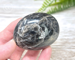 Black Moonstone Chunky Palm Stone #4