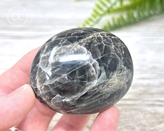 Black Moonstone Chunky Palm Stone #4
