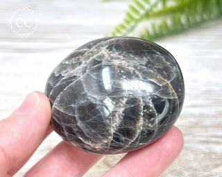 Black Moonstone Chunky Palm Stone #4