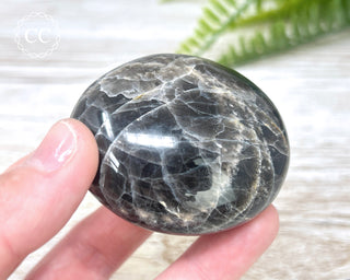 Black Moonstone Chunky Palm Stone #4