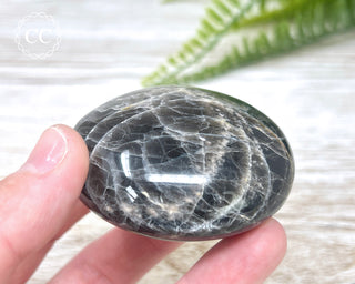 Black Moonstone Chunky Palm Stone #4