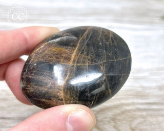 Black Moonstone Chunky Palm Stone #5