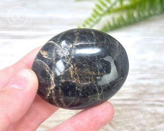 Black Moonstone Chunky Palm Stone #5