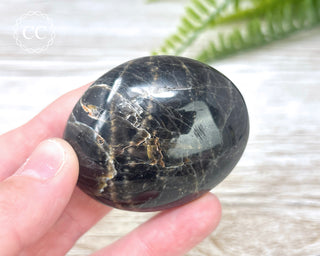 Black Moonstone Chunky Palm Stone #5