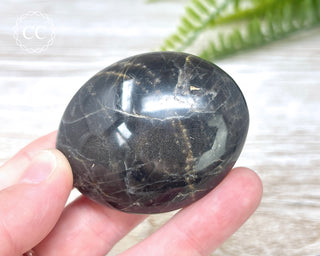 Black Moonstone Chunky Palm Stone #5