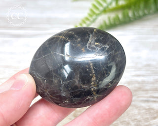Black Moonstone Chunky Palm Stone #5