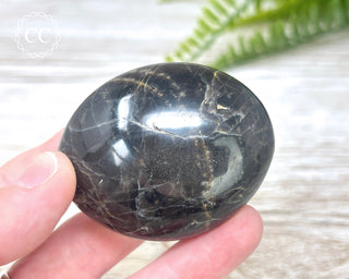 Black Moonstone Chunky Palm Stone #5