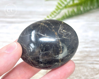 Black Moonstone Chunky Palm Stone #5