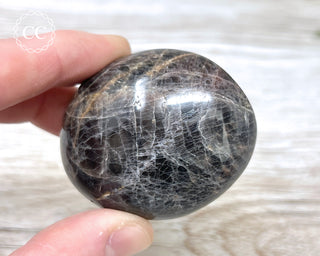 Black Moonstone Chunky Palm Stone #6