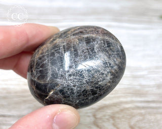 Black Moonstone Chunky Palm Stone #6