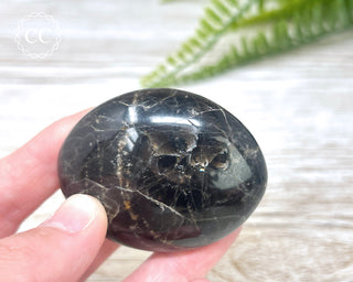 Black Moonstone Chunky Palm Stone #5