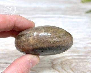 Black Moonstone Chunky Palm Stone #1