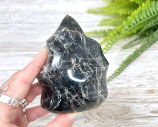 Black Moonstone Flame #3