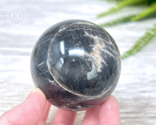Black Moonstone Sphere #1