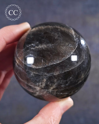 A hand holding a Black Moonstone Sphere from Madagascar