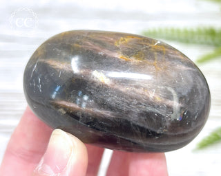 Black Moonstone Chunky Palm Stone #1