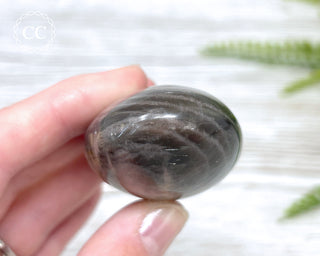 Black Moonstone Chunky Palm Stone #1