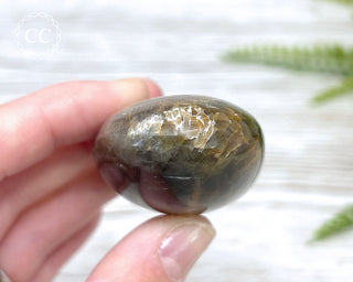 Black Moonstone Chunky Palm Stone #1