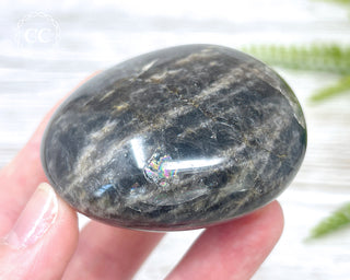 Black Moonstone Chunky Palm Stone #2