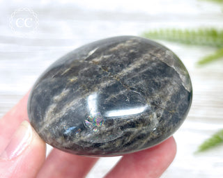 Black Moonstone Chunky Palm Stone #2